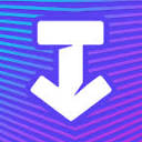 TikTok 视频无水印下载